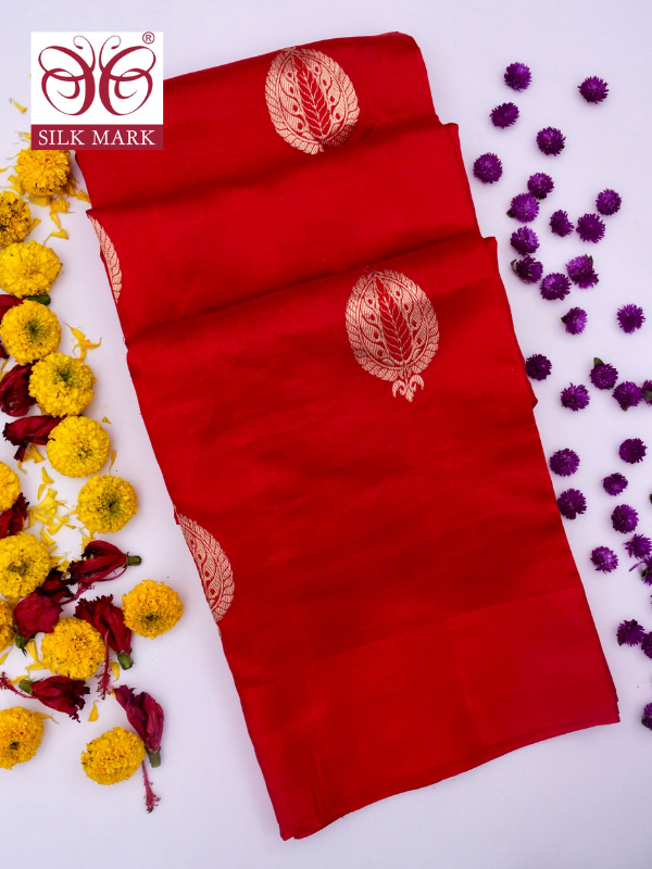 Pure Red Banarasi R Mango Katan Silk Saree | Full Kadhwa Buti Work By Kalakari