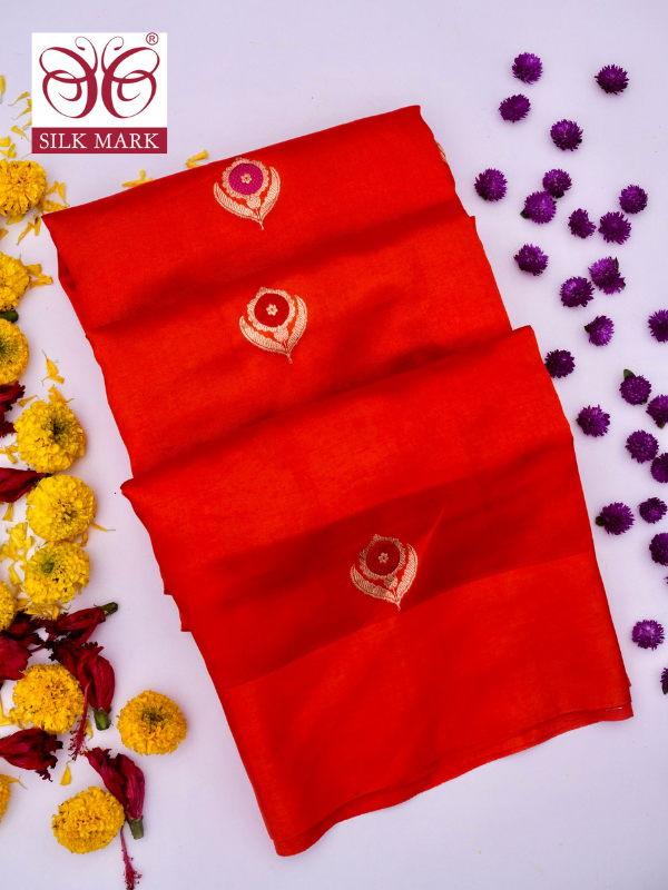 Pure Red Banarasi R Mango Katan Silk Saree By Kalakari