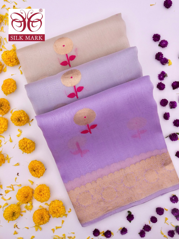 Banarasi Kora Organza Saree with Kadhwa Buti in Dual Ombre Shade By kalakari