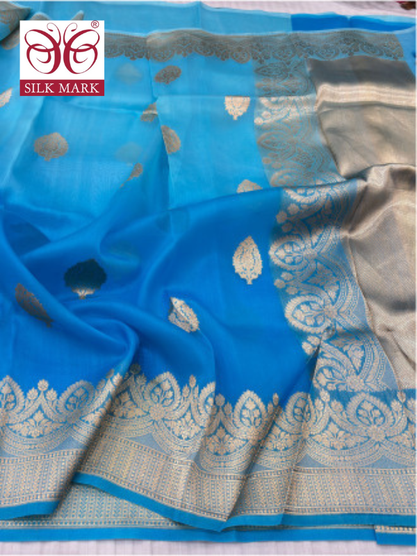Handwoven Banarasi Kora Organza Saree with Kadhwa Buta By Kalakari