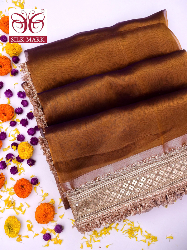 Banarasi Pure Tissue Silk Saree with Brocade Blouse