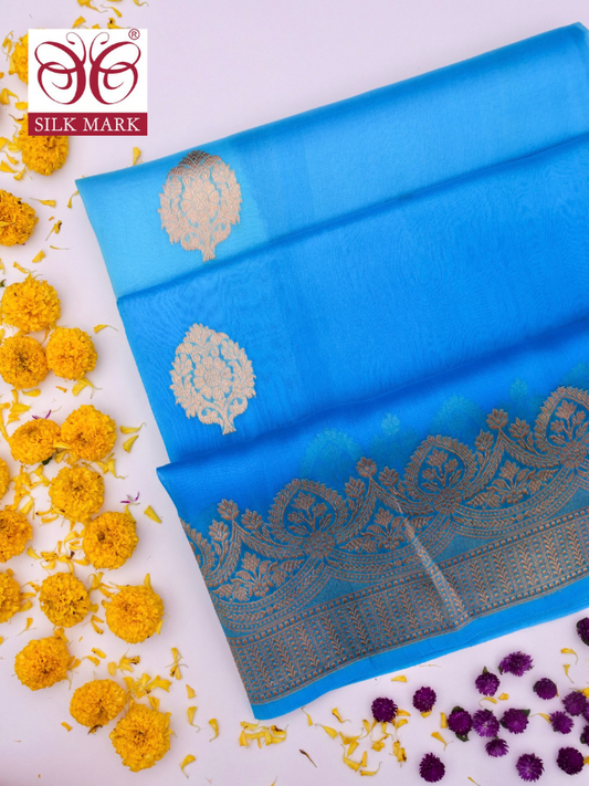 Handloom Banarasi Kora Organza Saree with Kadhwa Buti By Kalakari