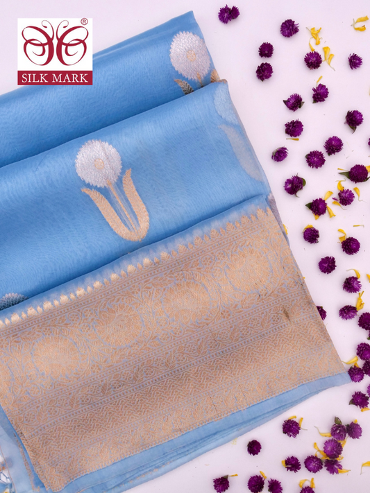 Handloom Banarasi Kora Organza Saree with Kadhwa Buti By Kalakari