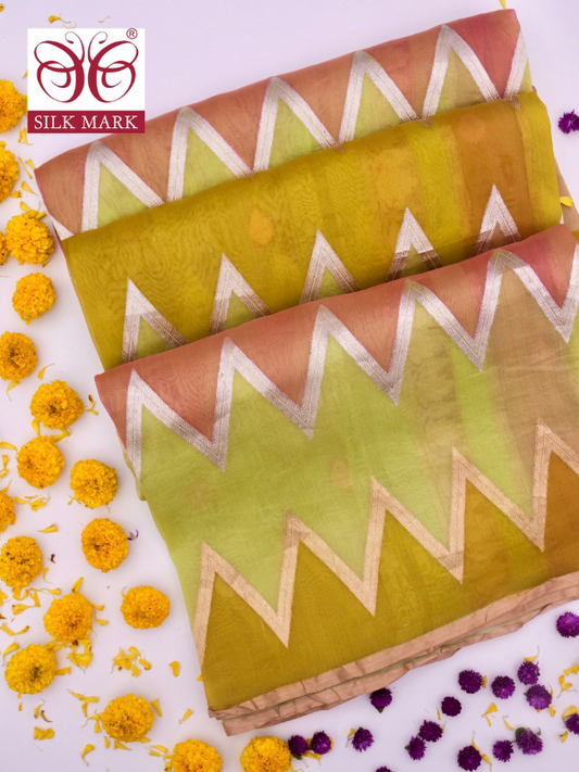 Handloom Banarasi Kora Organza Saree with Kadhwa Buti By Kalakari