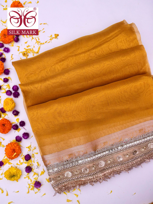 Banarasi Pure Tissue Silk Saree with Brocade Blouse