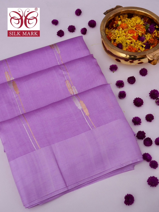 Mango Katan Silk Banarasi Saree with Handloom Kadhwa Buti By Kalakari