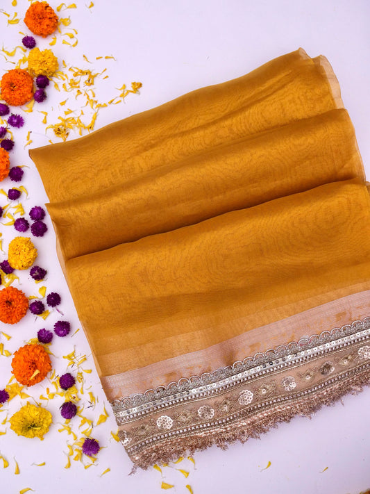 Designer Border Banarasi Soft Pure Tissue Silk Plain Saree with Brocade Blouse