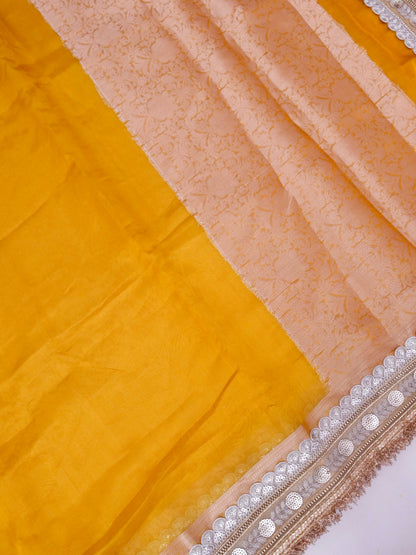 Banarasi Pure Tissue Silk Saree with Brocade Blouse