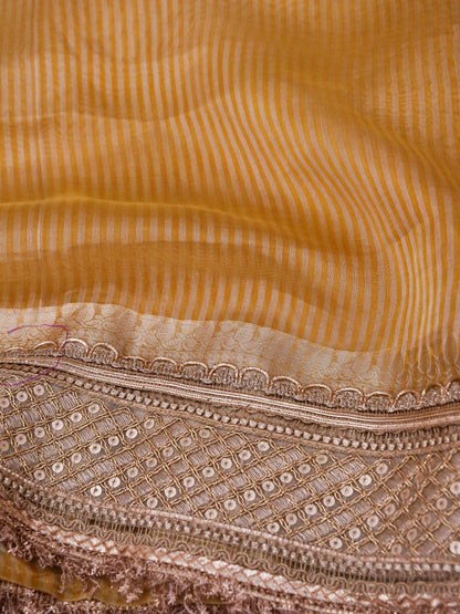 Banarasi Pure Tissue Silk Saree with Brocade Blouse